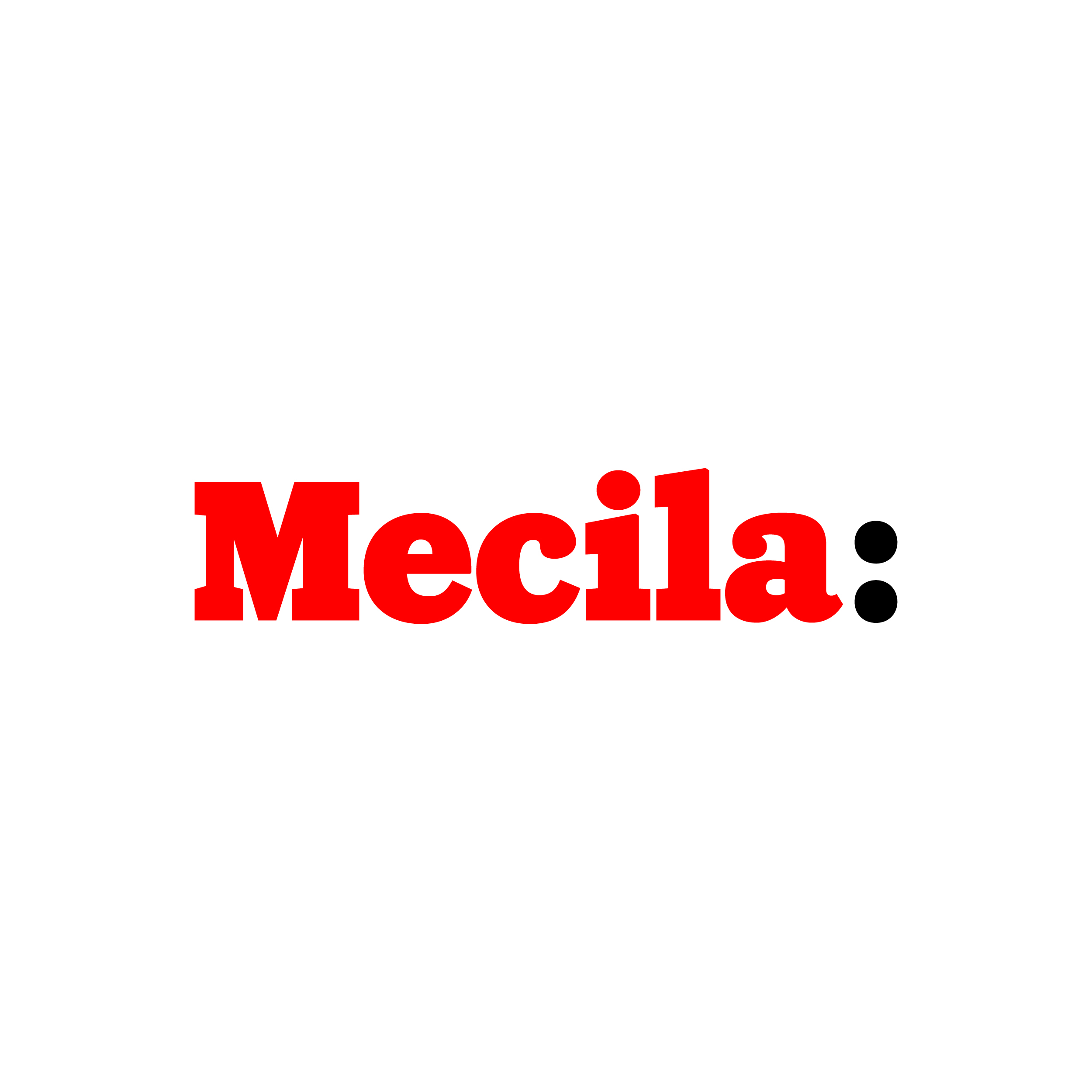 mecila_logo_white.jpg